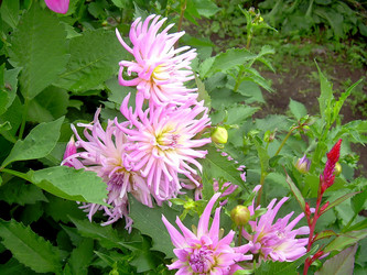 Similar image 21790167