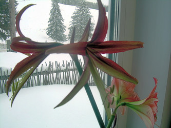 Similar image 21790168