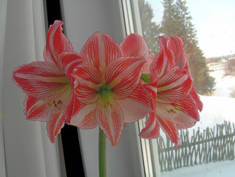 Similar image 21790169