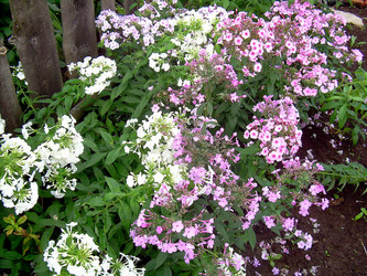 Similar image 21790170