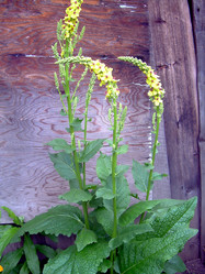 Similar image 21790171