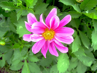 Similar image 21790172