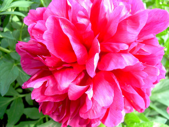 Similar image 21790173