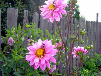 Similar image 21790196