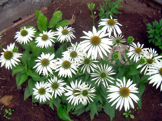 Similar image 21790198