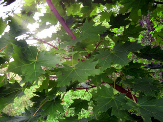 Similar image 21790202