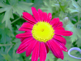 Similar image 21790203