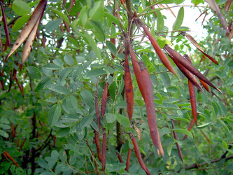 Similar image 21790204