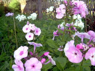 Similar image 21790205