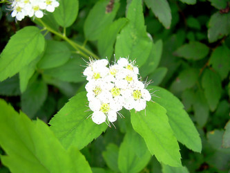 Similar image 21790206