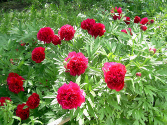 Similar image 21790311