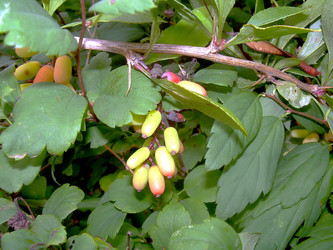 Similar image 21790312