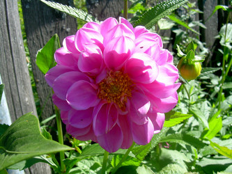 Similar image 21790313