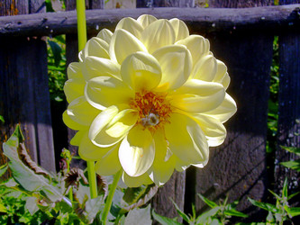 Similar image 21790314