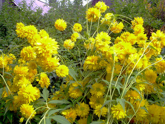 Similar image 21790315