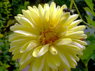 Similar image 21790316