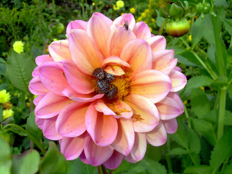 Similar image 21790318