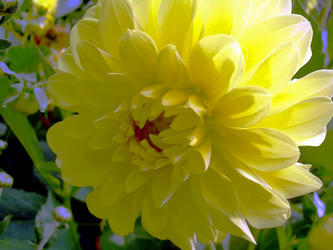 Similar image 21790320