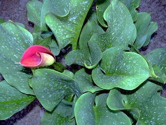 Similar image 21790323