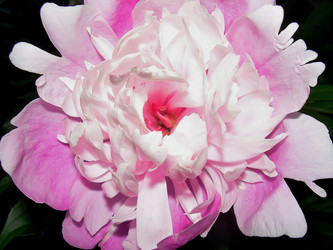 Similar image 21790325