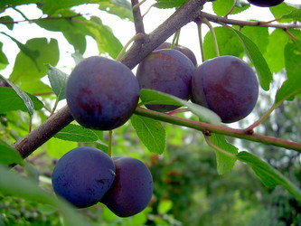 Similar image 21790326