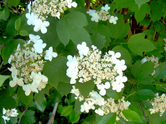 Similar image 21790327