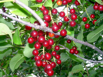 Similar image 21790328