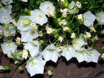 Similar image 21790329