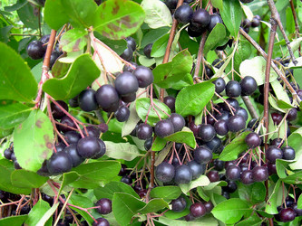 Similar image 21790330