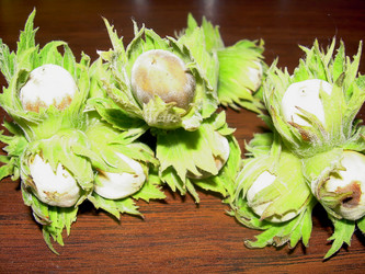 Similar image 21790332