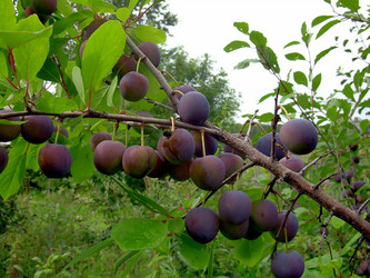 Similar image 21790333