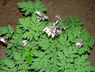 Similar image 21790334