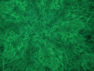 Similar image 21792324