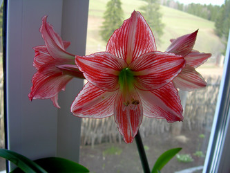 Similar image 21790174