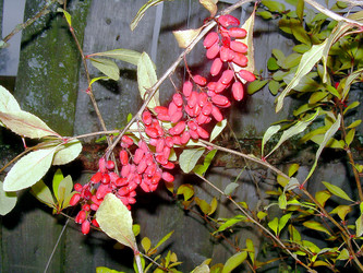 Similar image 21790176