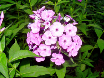 Similar image 21790177