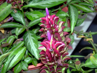 Similar image 21790178