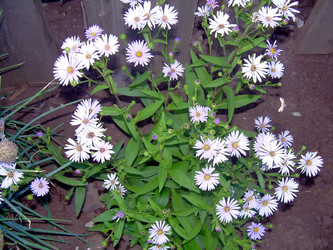 Similar image 21790179