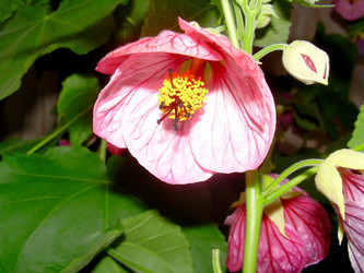 Similar image 21790180