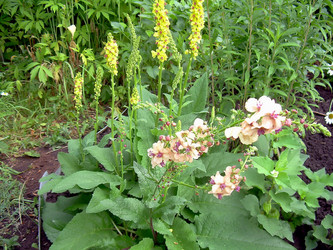 Similar image 21790183