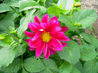 Similar image 21790184