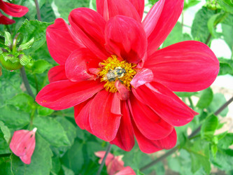 Similar image 21790185