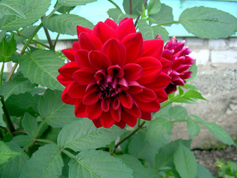 Similar image 21790187