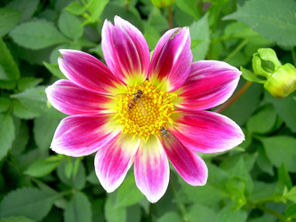 Similar image 21790188