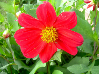 Similar image 21790190