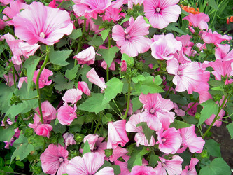 Similar image 21790191