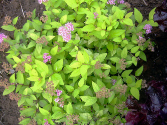 Similar image 21790192