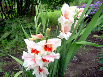 Similar image 21790193