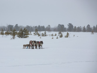 Similar image 21793120