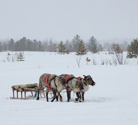 Similar image 21793121